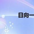 日向一夏（关于日向一夏简介）