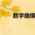 数字绝缘表（关于数字绝缘表简介）
