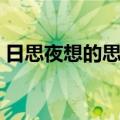 日思夜想的思念（关于日思夜想的思念简介）