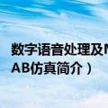 数字语音处理及MATLAB仿真（关于数字语音处理及MATLAB仿真简介）