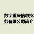 数字重庆信息技术服务有限公司（关于数字重庆信息技术服务有限公司简介）