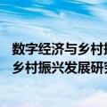 数字经济与乡村振兴发展研究报告(2021)（关于数字经济与乡村振兴发展研究报告(2021)简介）