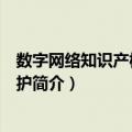 数字网络知识产权司法保护（关于数字网络知识产权司法保护简介）