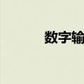 数字输出（关于数字输出简介）