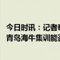 今日时讯：记者泰山队今日前往上海集训 记者钟晋宝正跟随青岛海牛集训能否加盟暂时未知
