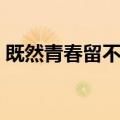 既然青春留不住（关于既然青春留不住简介）