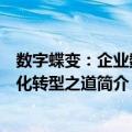 数字蝶变：企业数字化转型之道（关于数字蝶变：企业数字化转型之道简介）