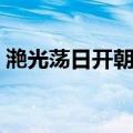 滟光荡日开朝锦（关于滟光荡日开朝锦介绍）