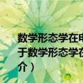 数学形态学在电力系统暂态波形信号处理中的应用研究（关于数学形态学在电力系统暂态波形信号处理中的应用研究简介）