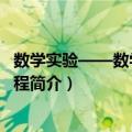 数学实验——数学软件教程（关于数学实验——数学软件教程简介）