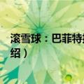 滚雪球：巴菲特投资传奇（关于滚雪球：巴菲特投资传奇介绍）