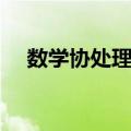 数学协处理器（关于数学协处理器简介）