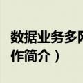 数据业务多网互操作（关于数据业务多网互操作简介）