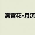 满宫花·月沉沉（关于满宫花·月沉沉介绍）