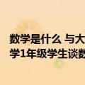 数学是什么 与大学1年级学生谈数学（关于数学是什么 与大学1年级学生谈数学简介）