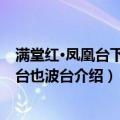 满堂红·凤凰台下凤凰台也波台（关于满堂红·凤凰台下凤凰台也波台介绍）