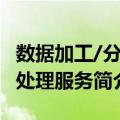 数据加工/分析处理服务（关于数据加工/分析处理服务简介）