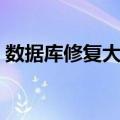 数据库修复大师（关于数据库修复大师简介）