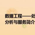 数据工程——处理、分析与服务（关于数据工程——处理、分析与服务简介）