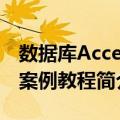 数据库Access案例教程（关于数据库Access案例教程简介）