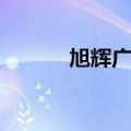 旭辉广场（关于旭辉广场简介）