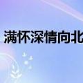 满怀深情向北京（关于满怀深情向北京介绍）