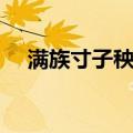满族寸子秧歌（关于满族寸子秧歌介绍）