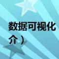 数据可视化 第2版（关于数据可视化 第2版简介）