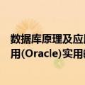 数据库原理及应用(Oracle)实用教程（关于数据库原理及应用(Oracle)实用教程简介）