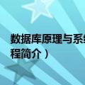 数据库原理与系统开发教程（关于数据库原理与系统开发教程简介）