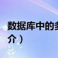 数据库中的多面手（关于数据库中的多面手简介）