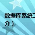 数据库系统工程师（关于数据库系统工程师简介）