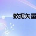 数据矢量化（关于数据矢量化简介）