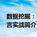 数据挖掘：R语言实战（关于数据挖掘：R语言实战简介）