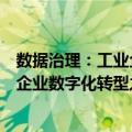 数据治理：工业企业数字化转型之道（关于数据治理：工业企业数字化转型之道简介）