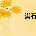 满石清（关于满石清介绍）