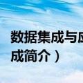 数据集成与应用集成（关于数据集成与应用集成简介）