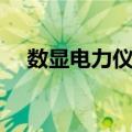 数显电力仪表（关于数显电力仪表简介）