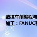 数控车削编程与加工：FANUC系统（关于数控车削编程与加工：FANUC系统简介）