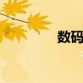 数码卡（关于数码卡简介）
