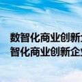 数智化商业创新企业数字化的核心逻辑与实践指南（关于数智化商业创新企业数字化的核心逻辑与实践指南简介）