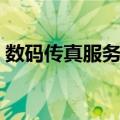 数码传真服务器（关于数码传真服务器简介）
