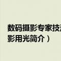 数码摄影专家技法：摄影用光（关于数码摄影专家技法：摄影用光简介）