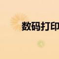 数码打印机（关于数码打印机简介）