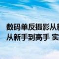 数码单反摄影从新手到高手 实拍精通篇（关于数码单反摄影从新手到高手 实拍精通篇简介）