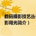 数码摄影技艺丛书：摄影用光（关于数码摄影技艺丛书：摄影用光简介）
