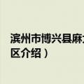 滨州市博兴县麻大湖旅游区（关于滨州市博兴县麻大湖旅游区介绍）