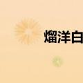 熘洋白菜（关于熘洋白菜介绍）