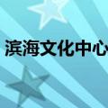 滨海文化中心站（关于滨海文化中心站介绍）