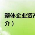整体企业资产评估（关于整体企业资产评估简介）